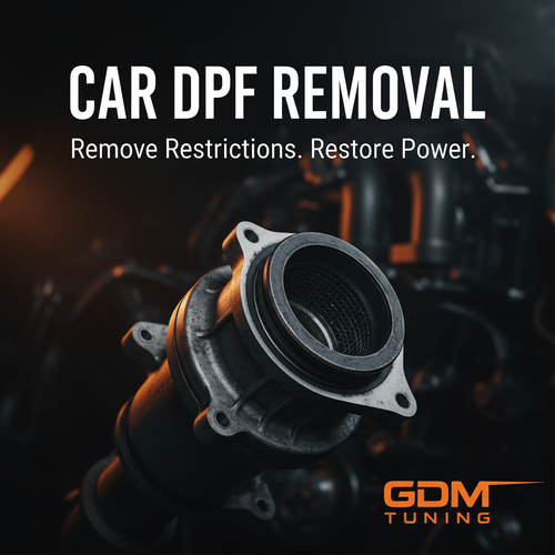 Car DPF Removal