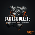 Car EGR Delete