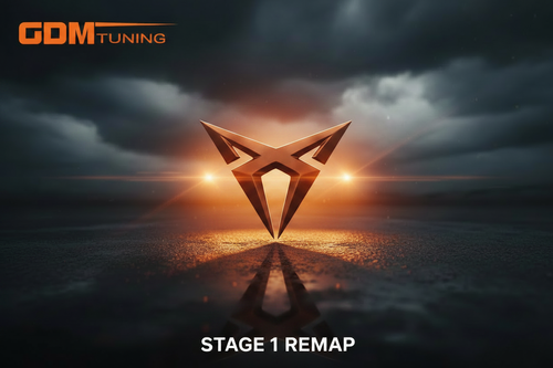Cupra Stage 1