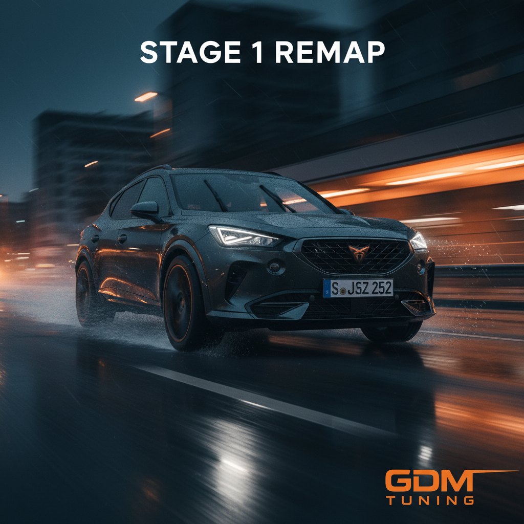 Stage 1 Remap - Cupra