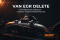 Van EGR Delete
